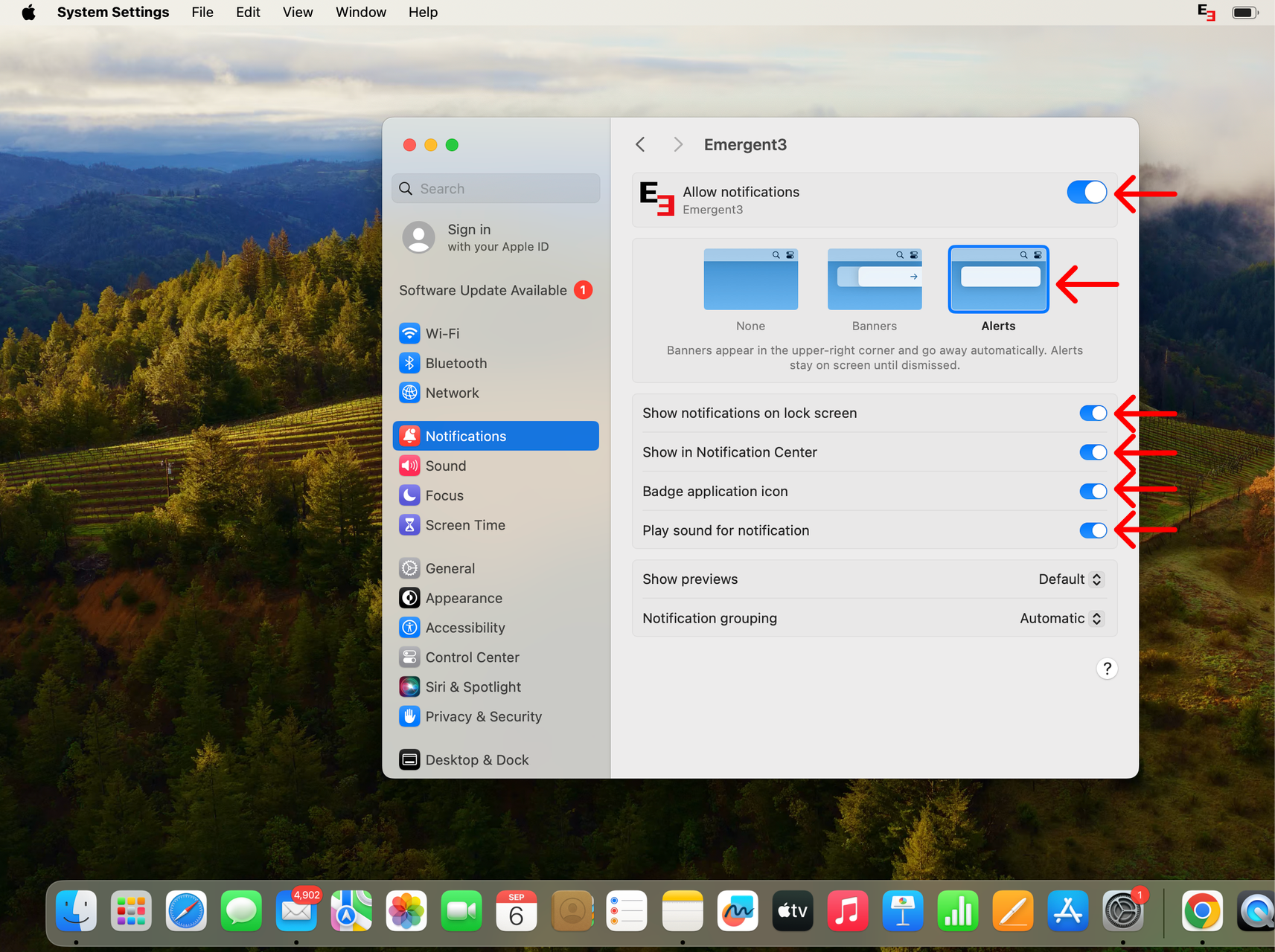 Desktop Notifications (Windows/Mac)