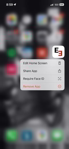 e1